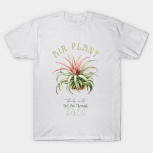 Air Plant, Botanical Illustration T-Shirt | Plant Lover Tee T-Shirt